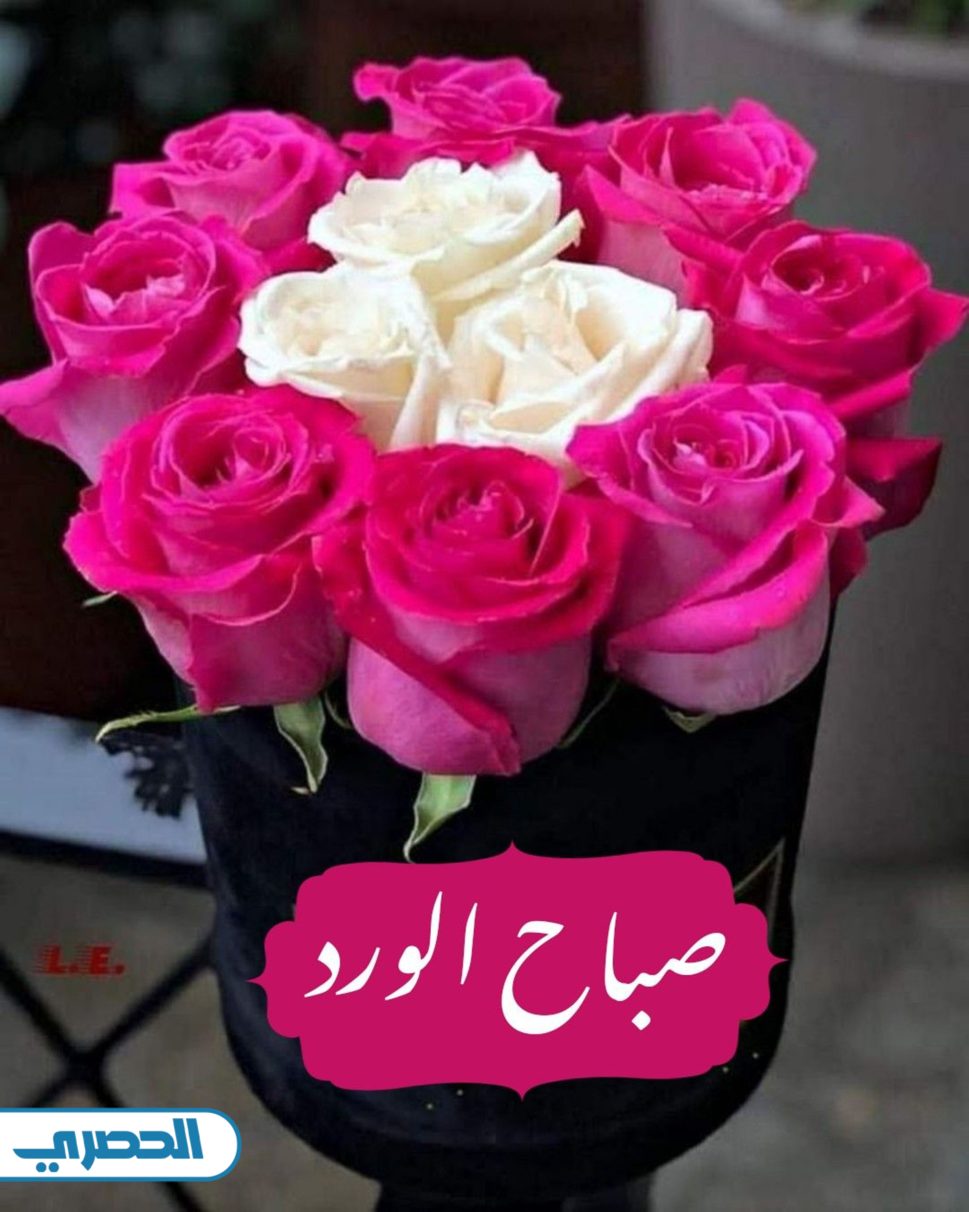 صور صباح الورد