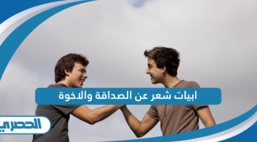 ابيات شعر عن الصداقة والاخوة