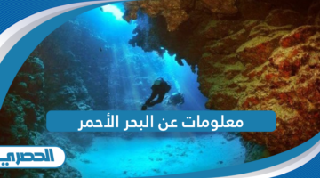 معلومات عن البحر الأحمر